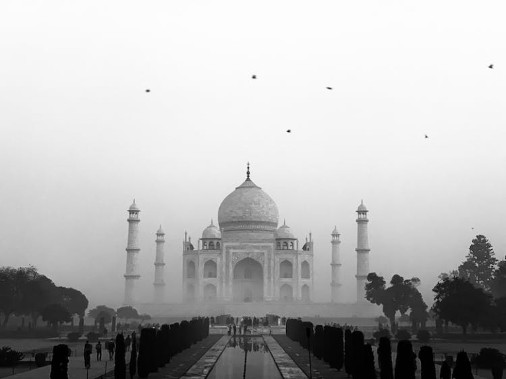 black and white,building,fog,history,india,landmark,local landmarks,mausoleum,overcast,people,taj mahal,travel destinations,trees,wallpaper