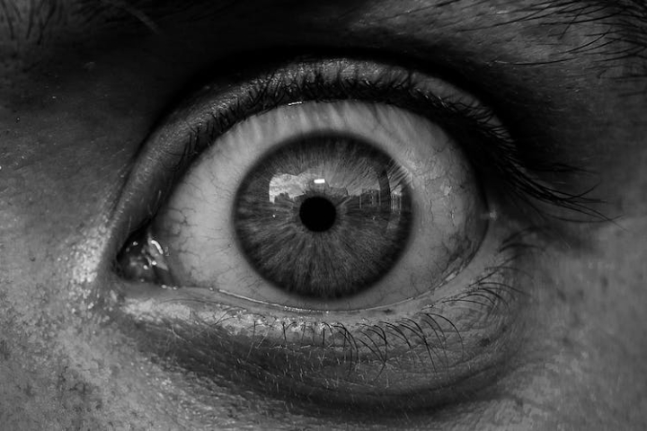 close-up,cornea,eyeball,eyelash,grayscale,human eye,iris,macro,macro photography,monochrome,pupil