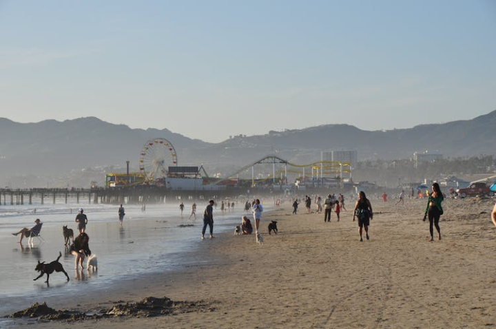 beach,california,people,santa monica pier,santa monica state beach,shore,united states of america