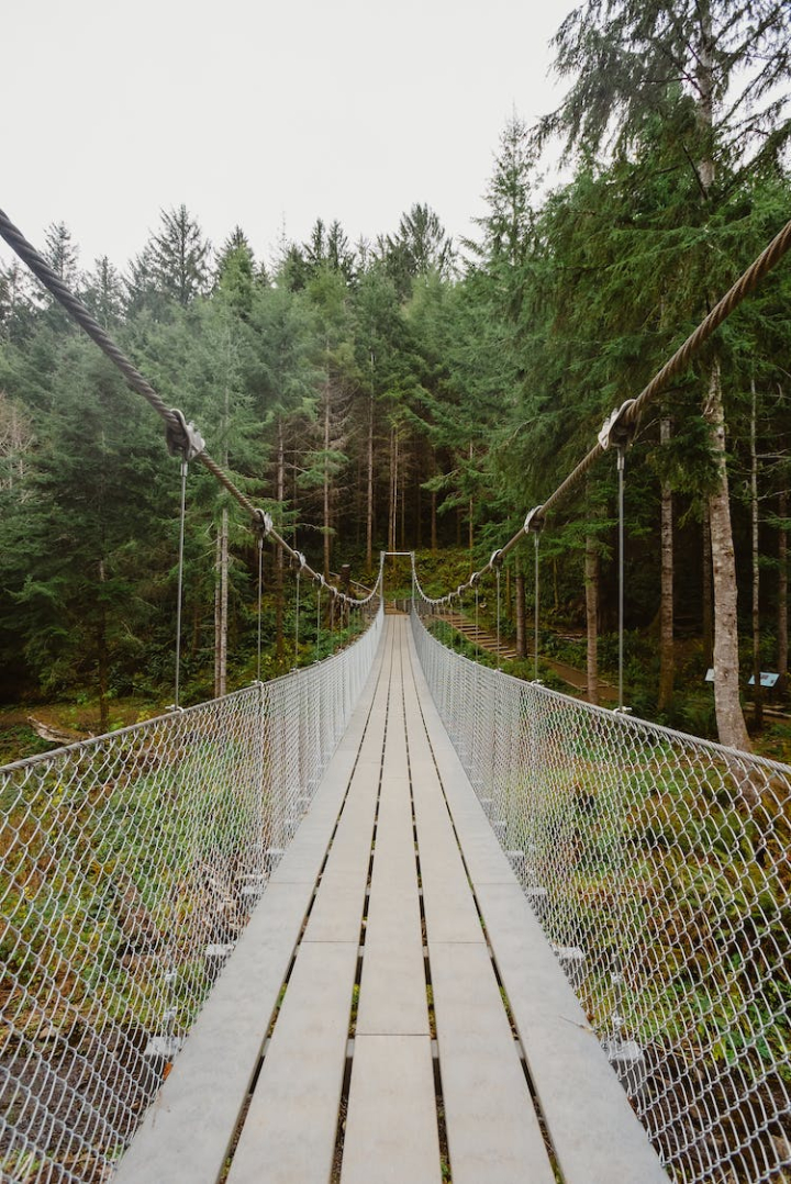 mesh wire,narrow,suspension bridge,trees,vertical shot,wooden bridge