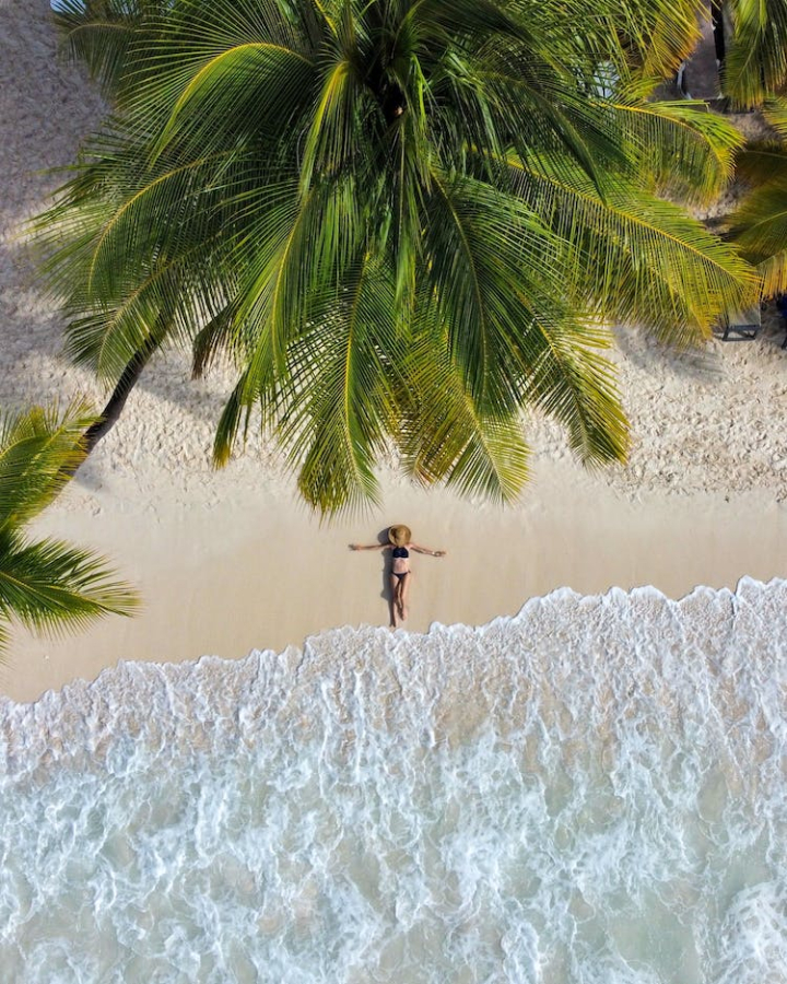 beach,beach waves,drone,drone footage,drone shot,exotic,girl,hot weather,island,ocean,palm,palm tree,palms,recreation,resort,sand,sea,seascape,seashore,shore,summer,sun,surf,topdown,travel,tree,tropica,tropical,vacation,water,wave,waves