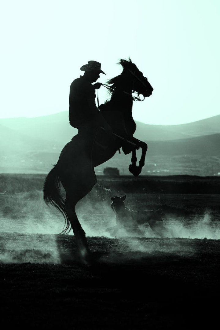 field,hat,horse,horseback riding,man,monochrome,silhouette,vertical shot
