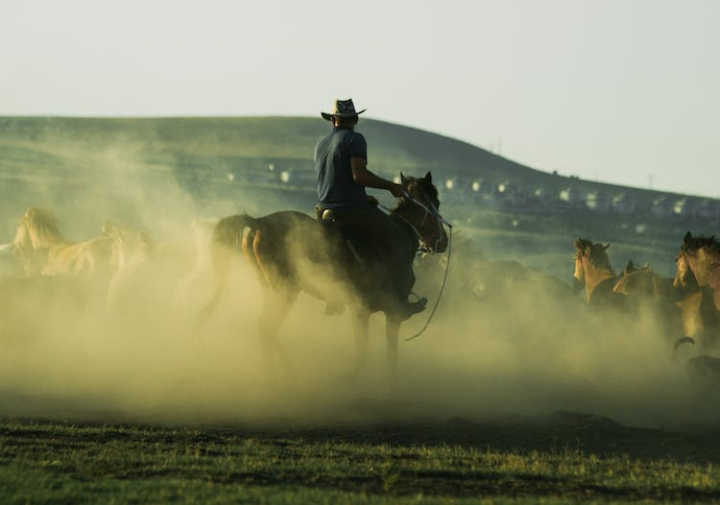 dust,farm,field,hat,horseback riding,horses,man