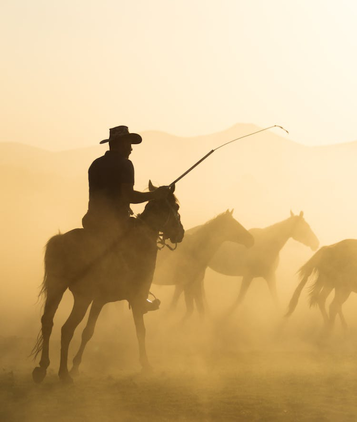 dust,farm,hat,horseback riding,horses,man,silhouette,sunset,vertical shot