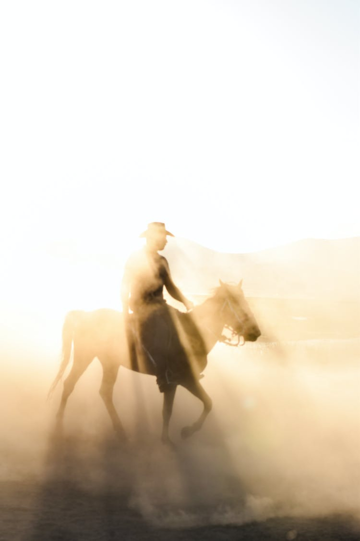 animal,cobwoy,dusk,horse,horseback riding,man,silhouette,vertical shot