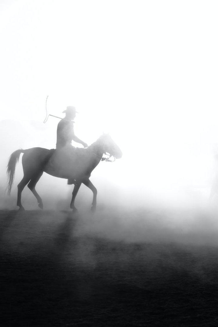 animal,black and white,cawboy,dawn,dusk,dust,equestrian,equine,horse,horseback riding,man,rural,silhouette,sunrise,sunset,vertical shot,wrangler