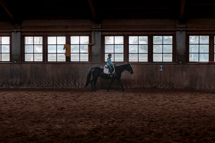 barn,black horse,cavalry,cowboy,cowman,equestrian,farm,girl riding,horse,horse rider,horse riding,horseback riding,indoors,jockey,mammal,mare,racehorse,rider,rodeo,room,saddle,seated,stable,stallion,training