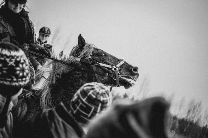 black and white,blur,equestrian,grayscale,horse riding,horseback riding,monochrome