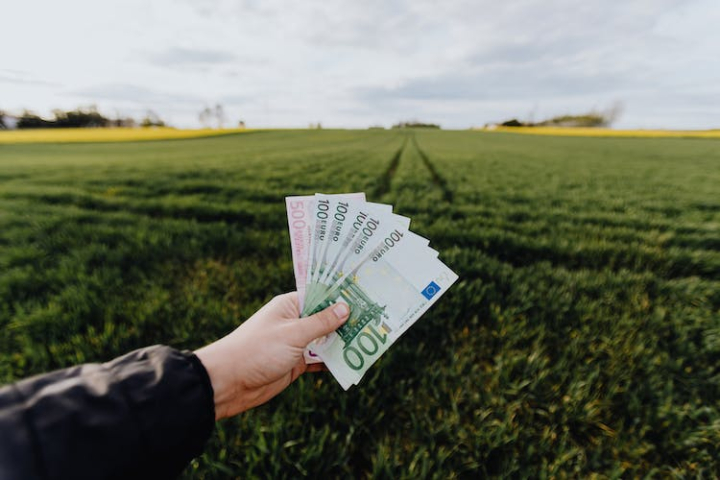 100 euro,500 euro,adult,agriculture,anonymous,banknote,blur,body part,business,cash,cloudy,countryside,crop,daylight,daytime,development,earning,euro,faceless,farmer,farmland,field,financial,grass,grassland,green,growth,hand,horizontal,income,investment,lush,meadow,modern,money,nature,outdoors,outside,person,profit,rich,rural,selective focus,soft focus,summer,summertime,unrecognizable