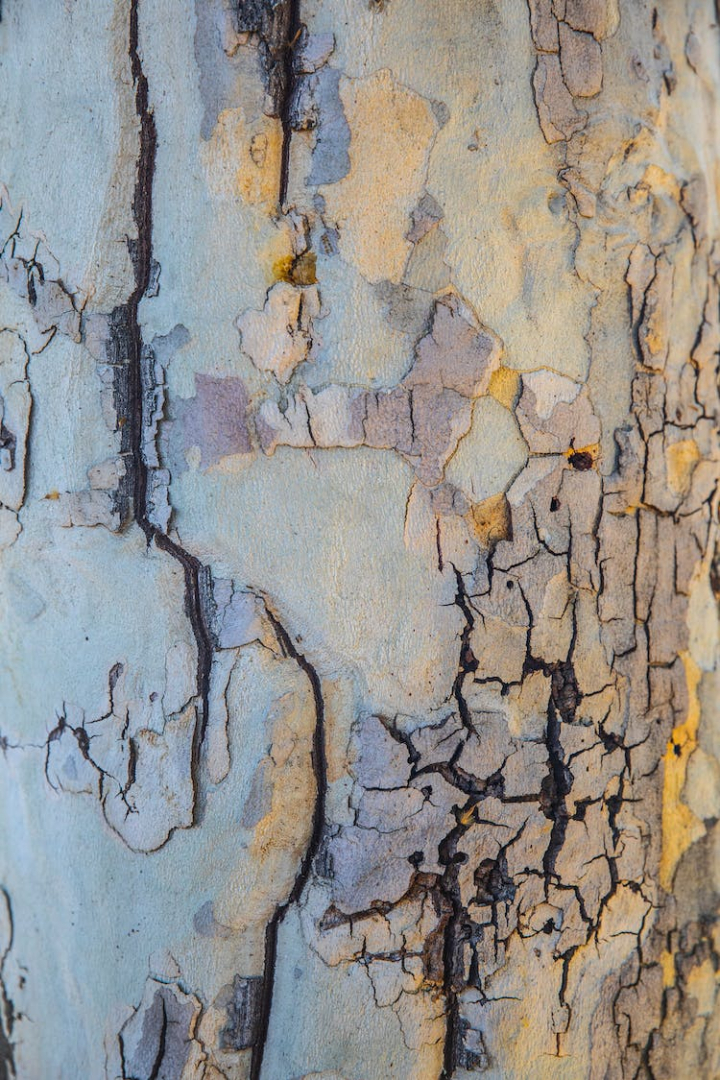 close-up,color,concrete,cracked,design,dirty,earth surface,granite,hard,marble,pattern,rock,rough,rusty,smooth,stained,stone,surface,texture,vertical shot,wall,wallpaper,weathered