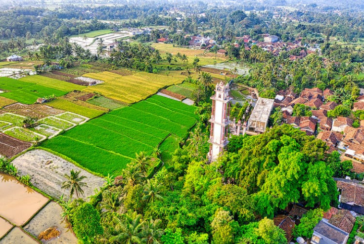 aerial footage,agriculture,countryside,cropland,drone shot,farmland,houses,nature,paddy field,plantation,rice field,rice terraces,rural,scenic,sight,town,village