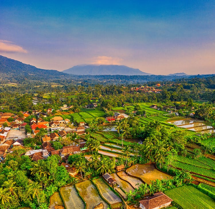 aerial footage,agriculture,countryside,cropland,drone shot,farmland,houses,mountains,nature,paddy field,plantation,rice field,rice terraces,rural,scenery,scenic,sight,town,village