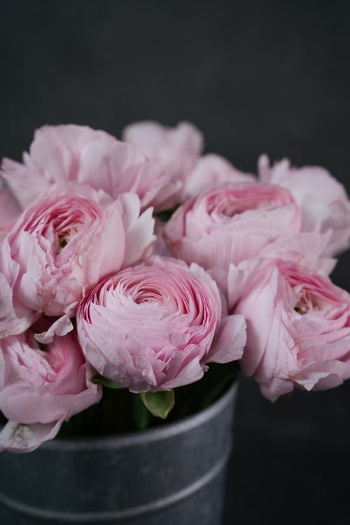 flower,plant,petal,flowerpot,hybrid tea rose,artificial flower,flower arranging,pink,bouquet,garden roses,pexels