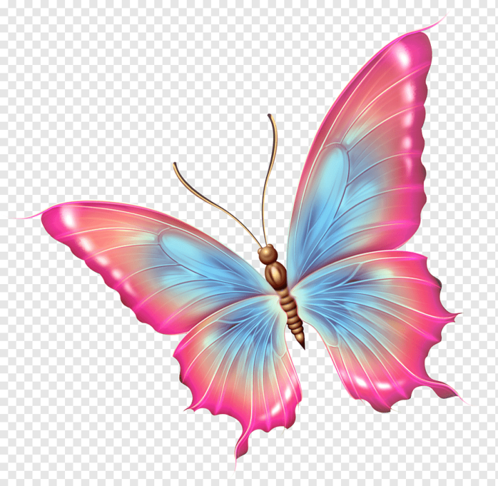 brush Footed Butterfly,decoupage,insects,sticker,pnk,pollinator,pink,pastel,moths And Butterflies,invertebrate,butterflies And Moths,free,female,dragonfly,wing,Butterfly,Insect,png,transparent,free download,png