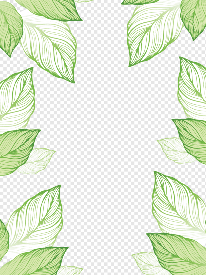 leaf border png