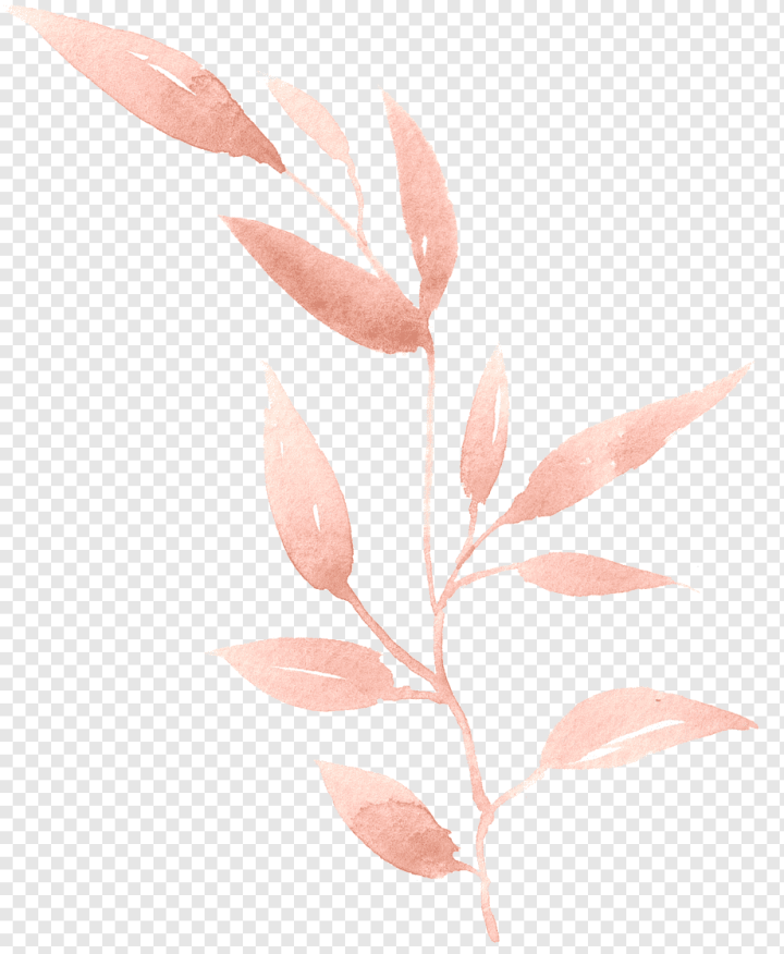 watercolor Leaves,painted,branch,fall Leaves,flower,painting,paint,leaves,watercolor Flowers,watercolor Flower,watercolor,pink,petal,peach,hand Painted,paint Splash,euclidean Vector,nature,Watercolor painting,Leaf,Hand,png,transparent,free download,png
