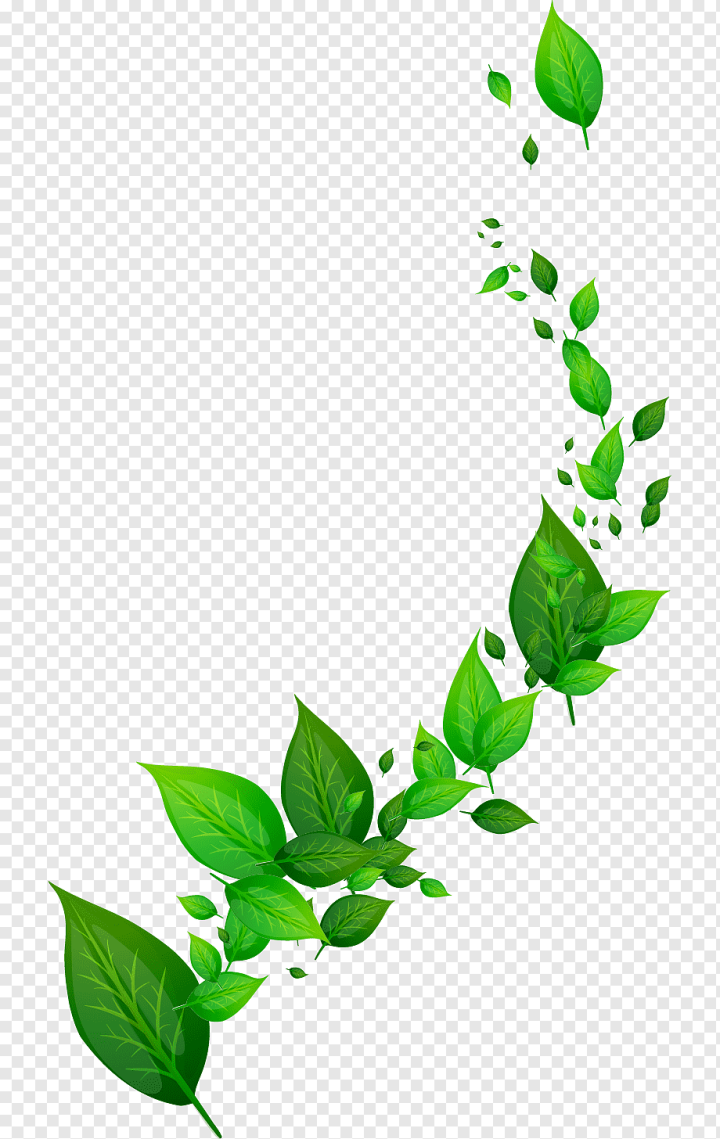 Green Leafes PNG Image, Green Leaf Vector, Tea Pattern, Decorative Pattern,  Leaf Pattern PNG Image For Free Download