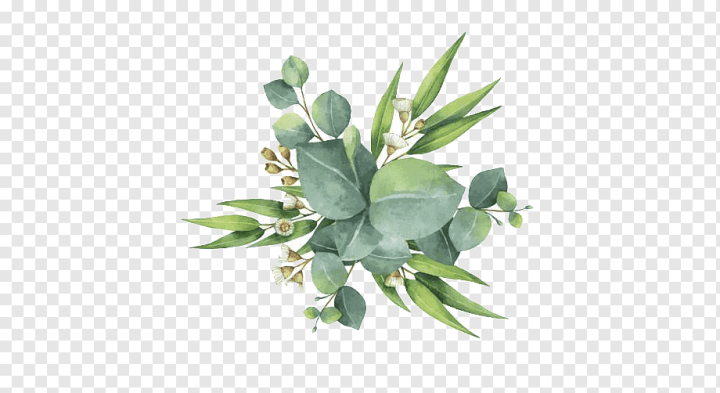 watercolor Painting,watercolor Leaves,leaf,hand,branch,fall Leaves,flower,cartoon,green Tea,wreath,leaves,flowerpot,decorate,watercolor Flowers,watercolor Flower,tree,stock Photography,plant,green,green Leaf,green Leaves,nature,Gum trees,Euclidean vector,Leaf Flower,Watercolor,png,transparent,free download,png
