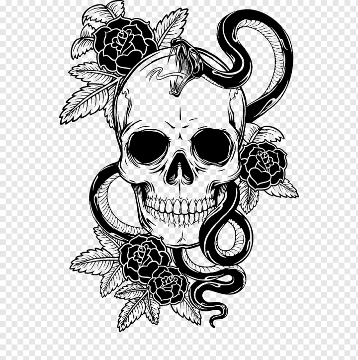 Skulls PNG Image | Skull sketch, Skulls drawing, Dark art tattoo