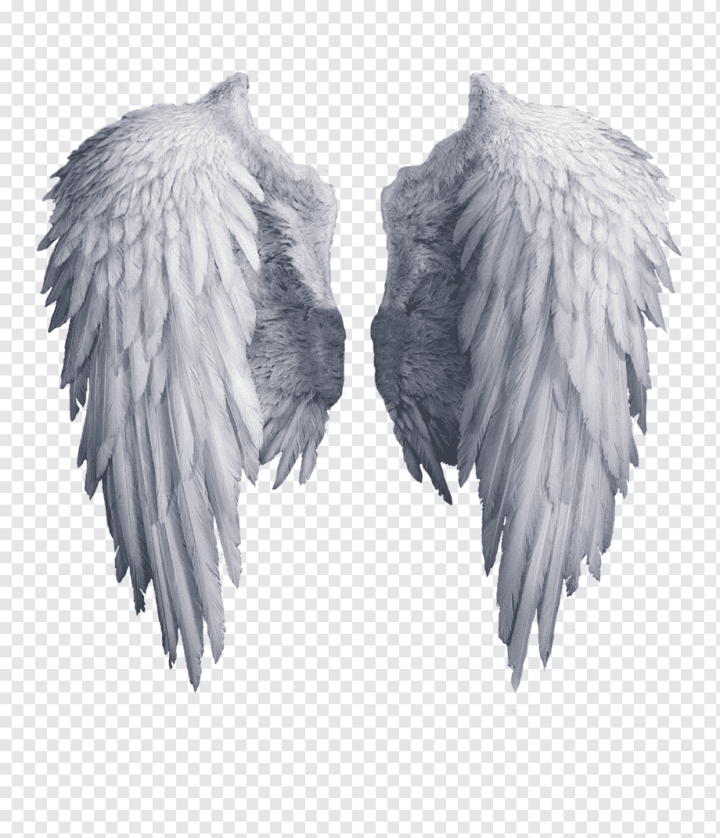 Angel Wing Tattoo Meaning and Symbolism [2024 Guide]