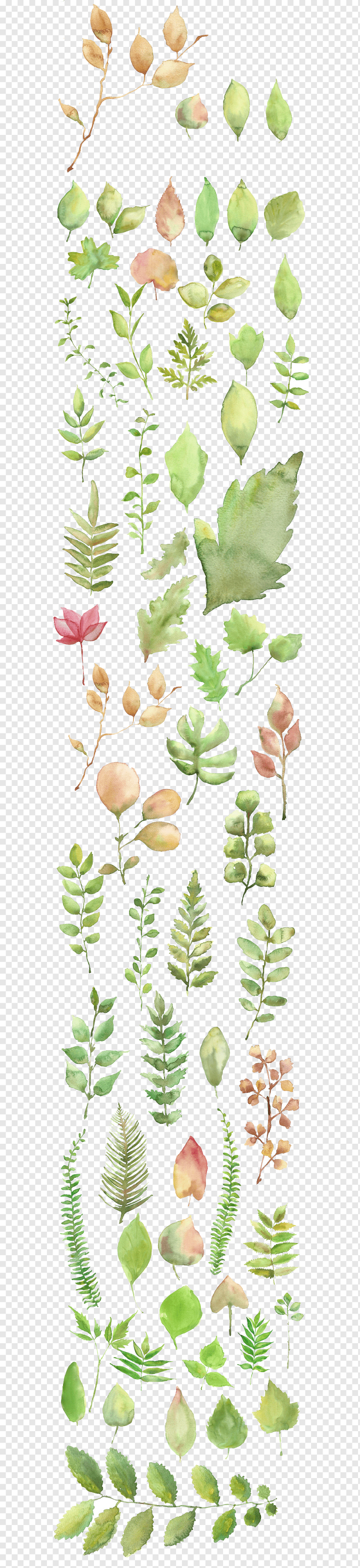 texture,watercolor Leaves,leaf,watercolor Vector,plant Stem,fall Leaves,flower,palm Leaves,painting,leaves,watercolor Flowers,petal,plant,watercolor Flower,small Fresh,watercolor,tree,shading Decoration,shading Vector,small,organism,decoration,drawing,flora,floral Design,flowering Plant,fresh,graphic Design,gratis,green,handpainted,handpainted Watercolor,leaves Vector,material Vector,nature,autumn Leaves,Watercolor painting,Shading,material,png,transparent,free download,png