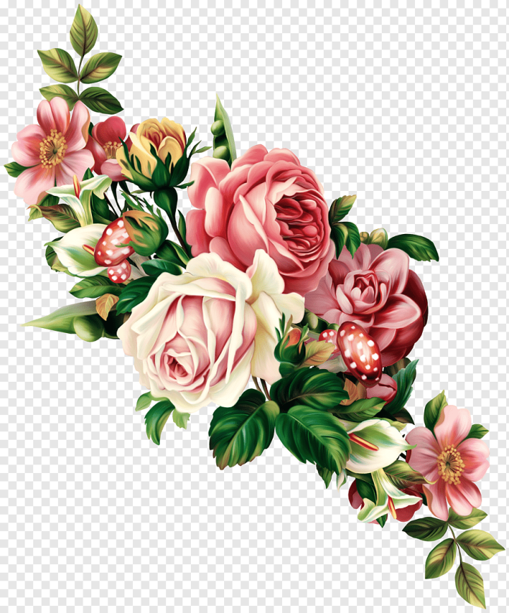 Centifolia Roses Garden Floral Design Pink Cut Flowers Hand