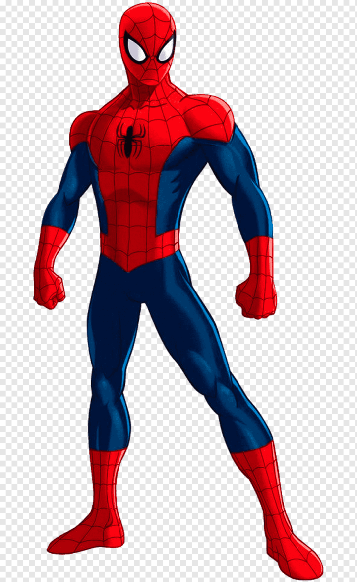 comics,heroes,superhero,comic Book,cardboard,insects,fictional Character,electric Blue,spiderman 2,ultimate Marvel,spiderman,spider,marvel Comics,action Figure,figurine,costume,amazing Spiderman,ultimate Spiderman,Ultimate Spider-Man,Hulk,Standee,Poster,png,transparent,free download,png