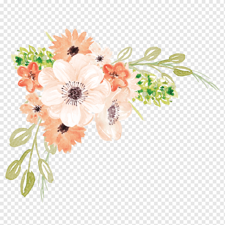watercolor Leaves,flower Arranging,artificial Flower,cartoon,painting,flowers,design,daisy Family,peach,petal,pink,plant,watercolor,watercolor Flower,watercolor Flowers,cut Flowers,chrysanths,pattern,floral Design,illustration,floristry,flora,drawing,flower Bouquet,flower Pattern,flower Vector,flowering Plant,gerbera,hand Painted,watercolour Flowers,Watercolor painting,Flower,png,transparent,free download,png