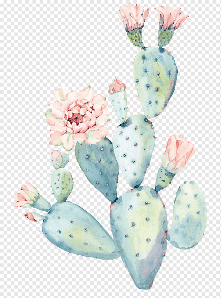 botany,watercolor Leaves,painted,poster,cactus,canvas,flower,painting,schlumbergera,succulent Plant,wall,watercolor,watercolor Flower,watercolor Flowers,printmaking,paint Splash,paint Brush,nature,green,flowering Plant,drawing,art,Cactaceae,Watercolor painting,Saguaro,Hand,png,transparent,free download,png