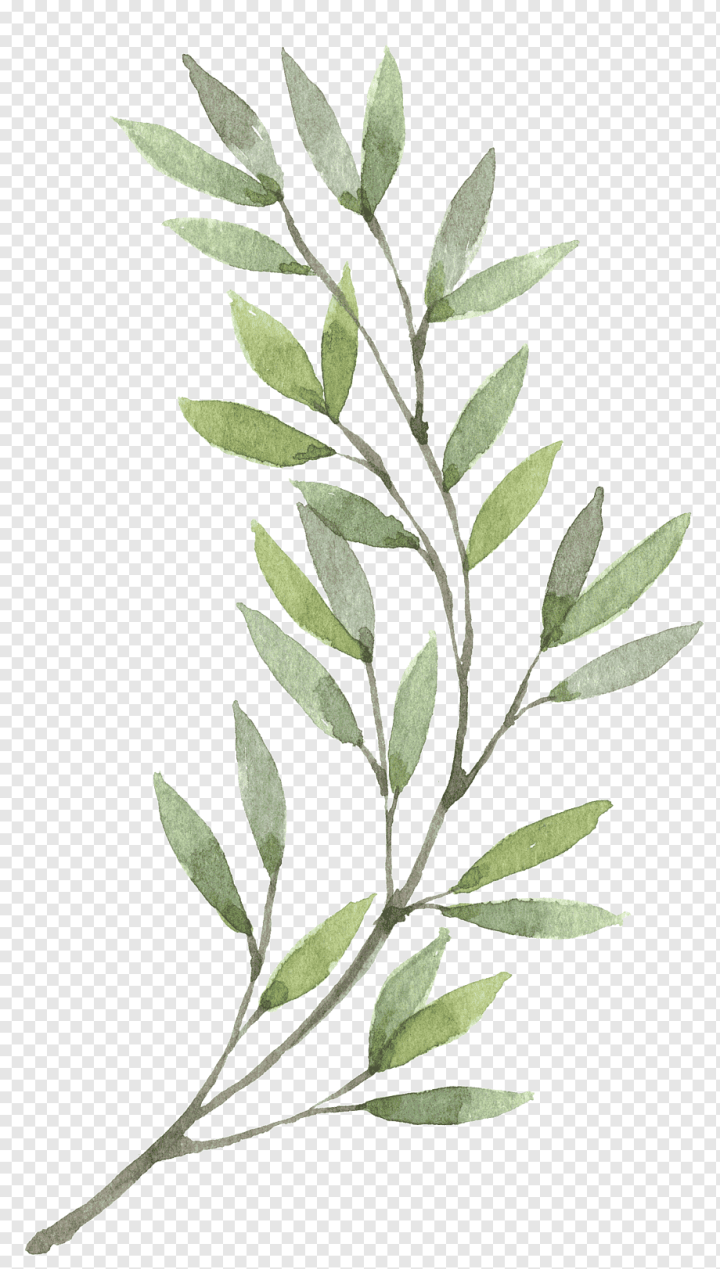 painted,leaf,branch,plant Stem,hand Drawn,twig,painting,leaves,pattern,plant,potted Plant,tree,art,paint Splatter,paint Splash,paint Brush,nature,hand Painted,hand Drawing,green,watercolour Flowers,Wreath,Watercolor painting,Flower,Hand,Plants,png,transparent,free download,png