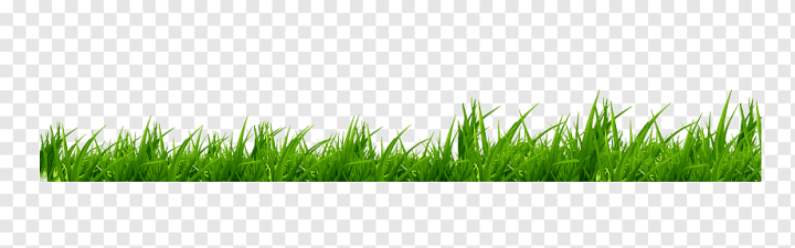 Free: green grass, Icon, grass, text, cartoon Grass, grass png 