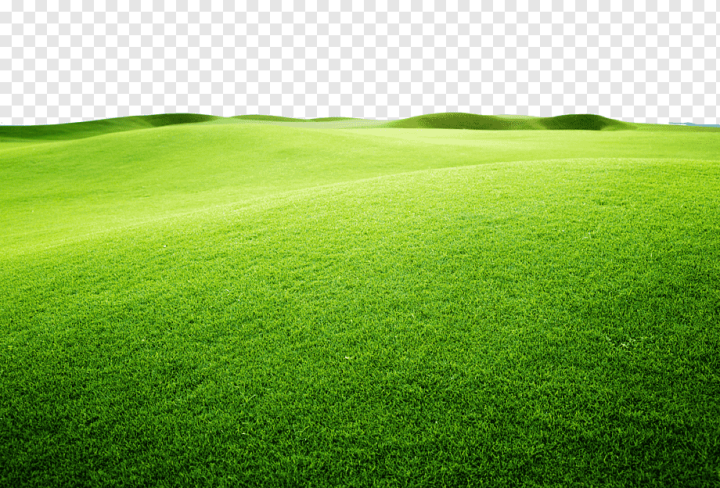 sport,computer,environmental,landscape,computer Wallpaper,grass,green Apple,lawn,green Tea,family,industry,earth,paper Plane,horizon,creative Design,meadow,vibrant,land Lot,yellow Background,publicity Background,plant,protect,sport Venue,protect The Earth,protection,sky,publicity,green Leaf,background Green,conservation,creative,energy,energy Conservation,energy Industry,environmental Protection Industry,field,football,grass Family,green,art,green Grass,background,Artificial turf,Sports venue,Grassland,Grasses,Yellow green,plane,png,transparent,free download,png