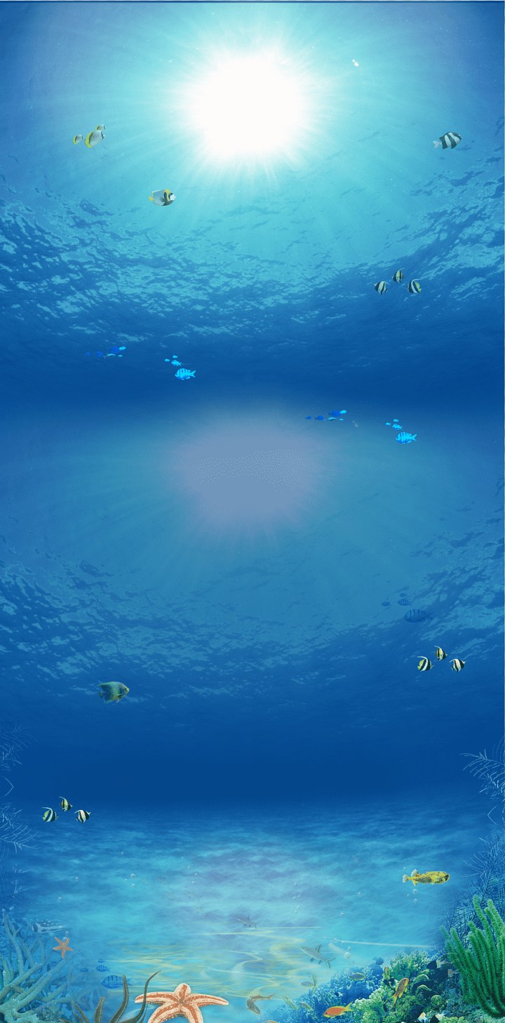 blue,animals,atmosphere,computer Wallpaper,sea Elements,ocean,sunlight,desktop Wallpaper,marine Biology,tropical,sea Anchor,underwater,sea Waves,water,seabed,sky,turquoise,tropics,tropical Fish,sea Turtle,sea Shell,aqua,azure,calm,daytime,depths,fish,red Sea,sea,sea Food,water Resources,Blue - Sea,png,transparent,free download,png