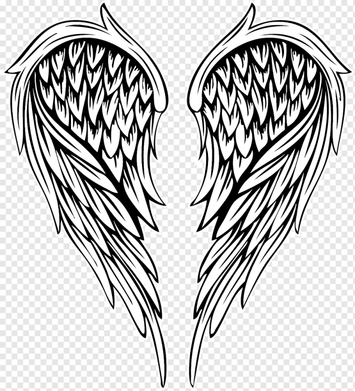 angel wings heart drawing