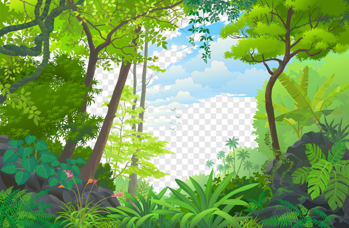 Free: Landscape Jungle Euclidean Tropical rainforest, forest, green leafed  trees, leaf, branch, computer Wallpaper png 