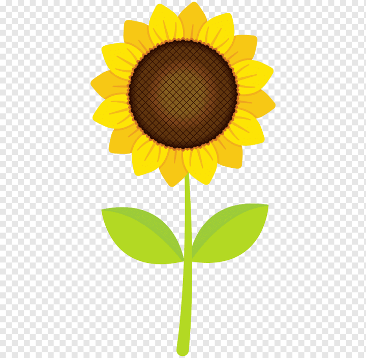 computer,sunflower,plant Stem,sunflower Seed,flower,daisy Family,plant,petal,seed Plant,art,keynote,frozen Fever,flowering Plant,document,computer Icons,common Sunflower,clip,asterales,yellow,png,transparent,free download,png