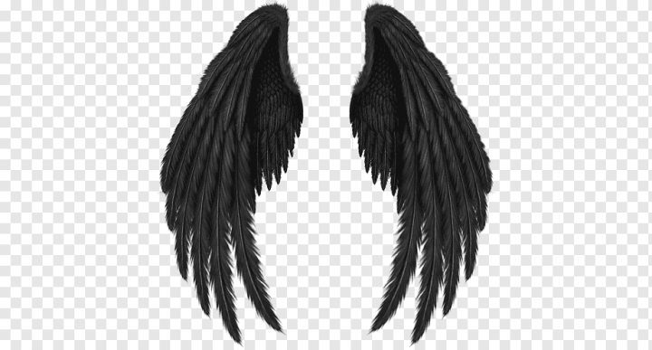 Angel Wing tattoo | Wing tattoo men, Wing tattoo, Angel wings tattoo