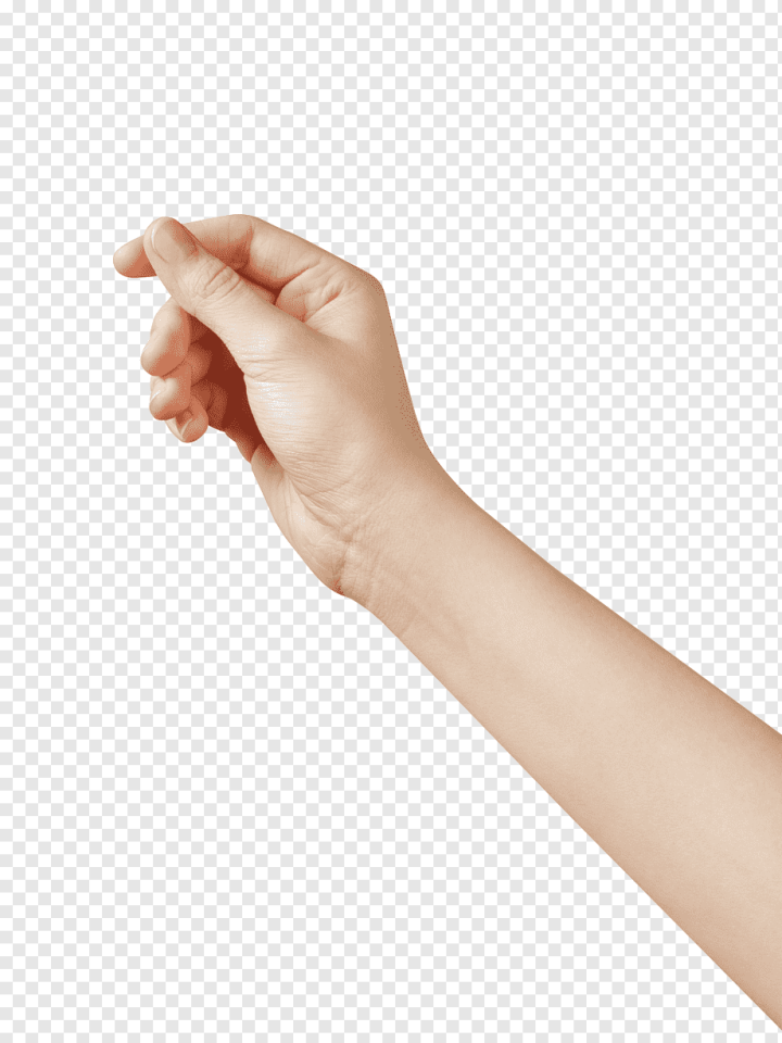hand,arm,woman,holding Hands,fotolia,finger,stock Photography,thumb,nail,png,transparent,free download,png