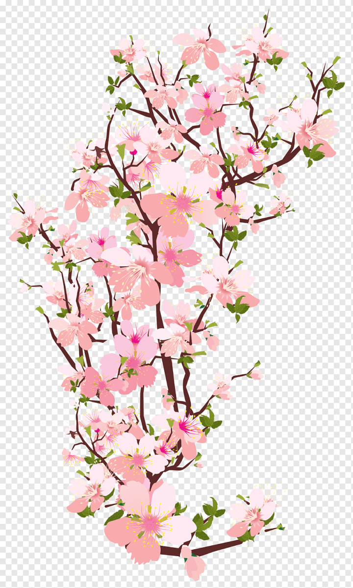 Set Of Flowers Leaves Floral Stems Stock Illustration - Download