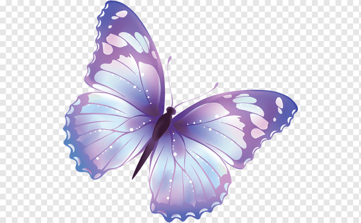 purple,brush Footed Butterfly,violet,cartoon,website,lilac,arthropod,steel Butterfly Cliparts,stockxchng,thumbnail,pollinator,moths And Butterflies,monarch Butterfly,invertebrate,insect,free Content,drawing,butterfly,wing,png,transparent,free download,png