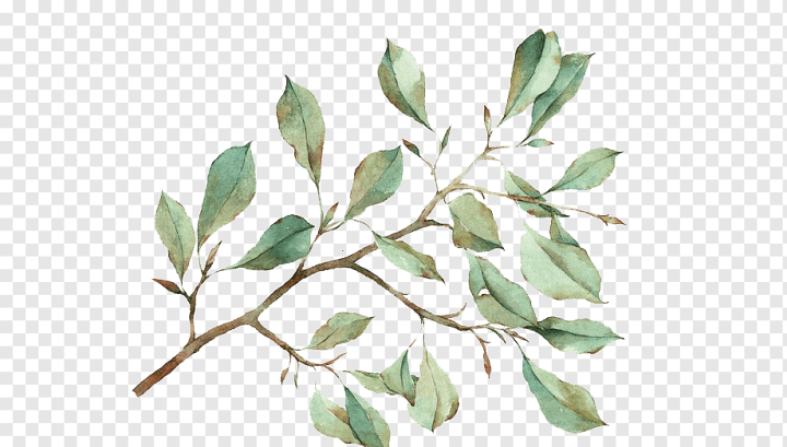 watercolor Leaves,painted,hand,branch,plant Stem,fall Leaves,illustrator,twig,palm Leaves,cartoon,painting,leaves,watercolor Flowers,watercolor Flower,watercolor,tree,plant,autumn Leaves,nature,hand Painted,drawing,watercolour Flowers,Watercolour,Flowers,Watercolor painting,Leaf,png,transparent,free download,png