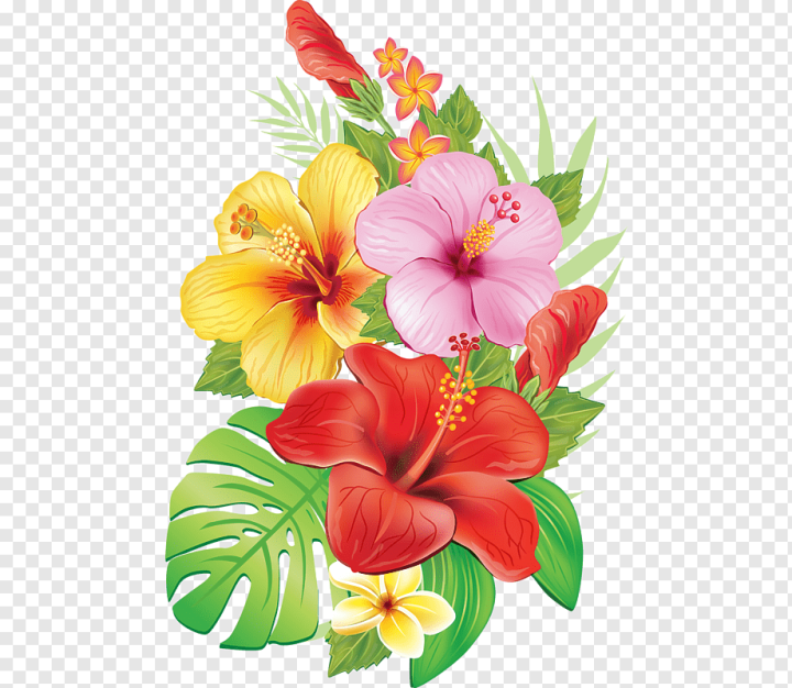 herbaceous Plant,flower Arranging,annual Plant,malvales,painting,peruvian Lily,nature,petal,plant,mallow Family,alstroemeriaceae,hibiscus,flowering Plant,flower Bouquet,floristry,floral Design,cut Flowers,chinese Hibiscus,art,seed Plant,Drawing,Flower,flamingos,png,transparent,free download,png