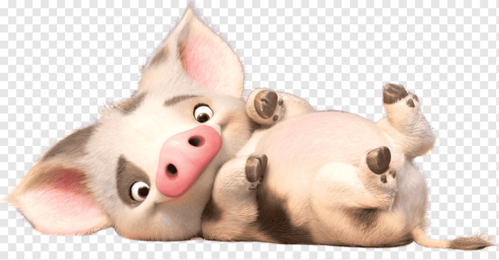 mammal,snout,film,pig Like Mammal,plush,stuffed Toy,walt Disney Company,adventure Film,pig,nose,hei Hei The Rooster,fur,domestic Pig,youtube,Hei Hei,Rooster,Moana,Seduction community,community Film,Character,png,transparent,free download,png