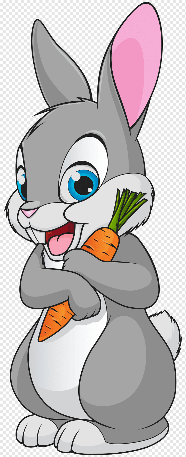 mammal,animals,vertebrate,hare,fictional Character,cartoon,tail,whiskers,animation,stock Photography,rabits And Hares,art,best Bunnies,drawing,domestic Rabbit,cat,Bugs Bunny,Easter Bunny,Bunnies,Rabbit,png,transparent,free download,png
