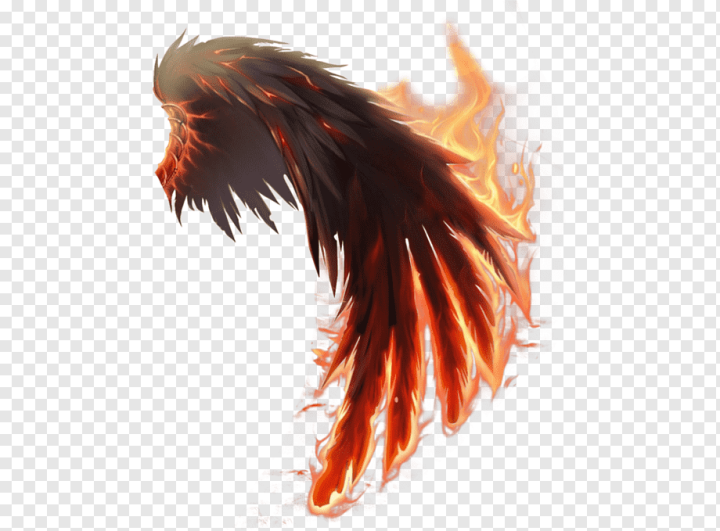 dragon,orange,wings,computer Wallpaper,desktop Wallpaper,feather,flame,wing,beak,long Hair,fire,fantasy,drawing,Wings of Fire,Computer Icons,png,transparent,free download,png