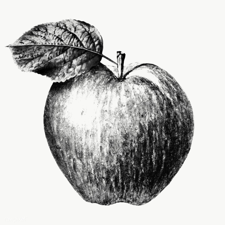 How to draw Apple easy step by step 🎨 Apple Drawing 🖼️ Pencil Sketch # drawing - YouTube