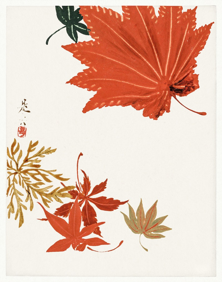 orange leaf,autumn,japanese,japanese art,leaf,autumn leaves,poster,wall art,illustration,maple leaf,vintage poster,public domain,rawpixel