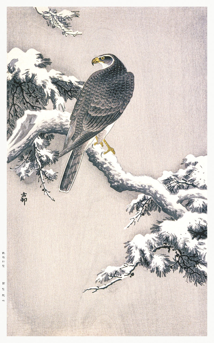 ohara koson,japanese art,japanese,eagle,tree,public domain,art,snow,pine tree,vintage illustration,japanese woodblock,pine,rawpixel