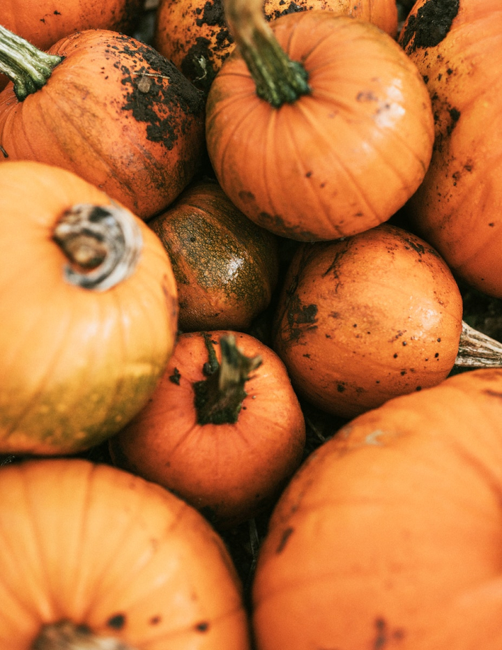 Halloween Pumpkin Pile Close Up Background