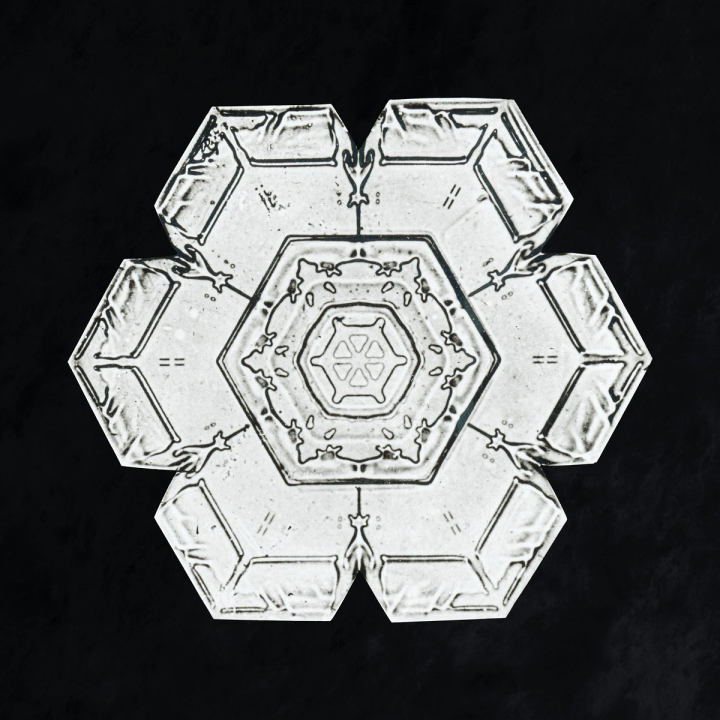 Frozen White Snowflake PNG Image - PurePNG